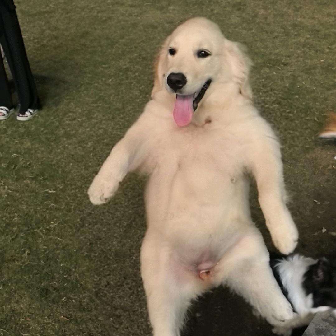 567