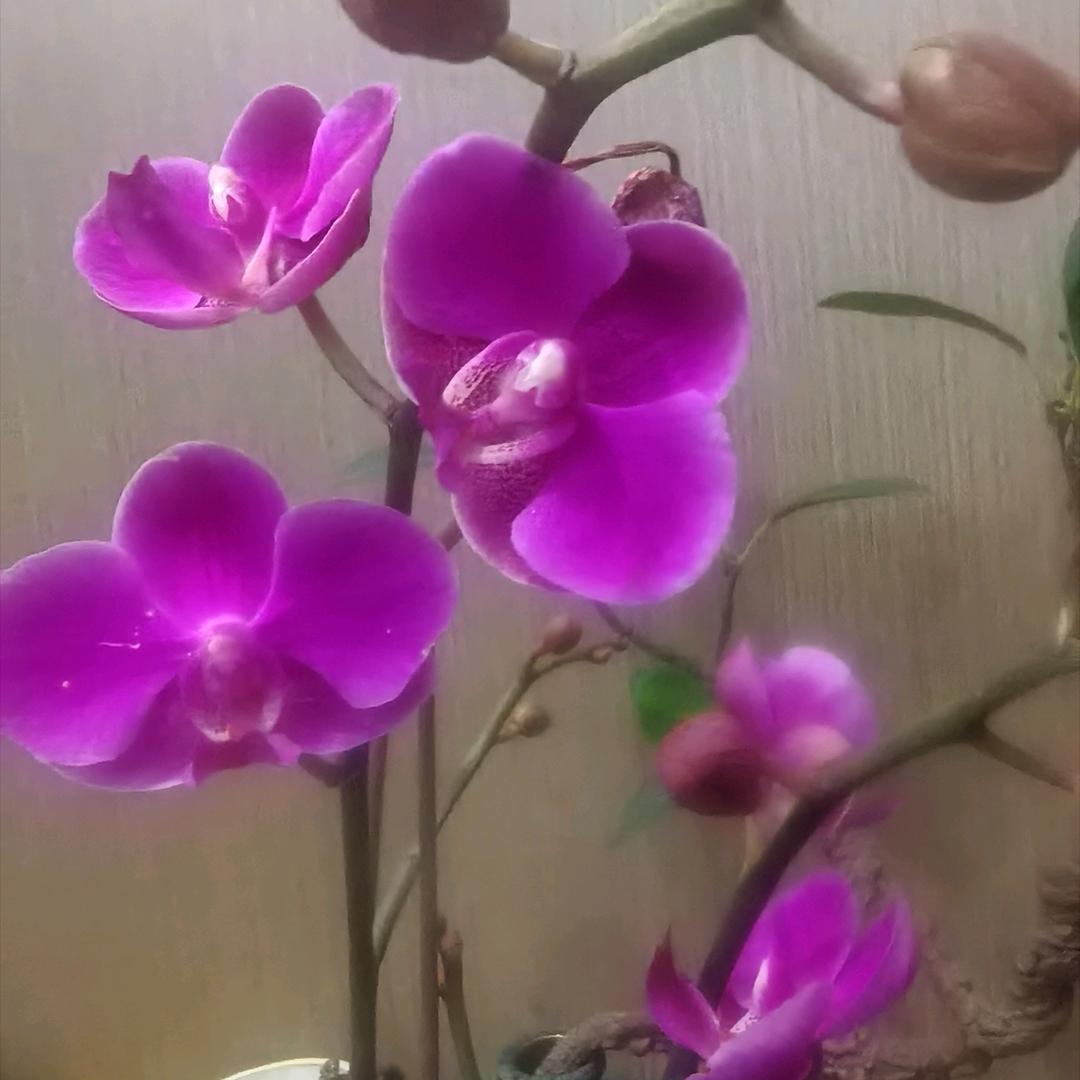 要学会爱自己