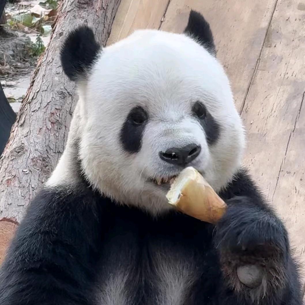 绿水青山