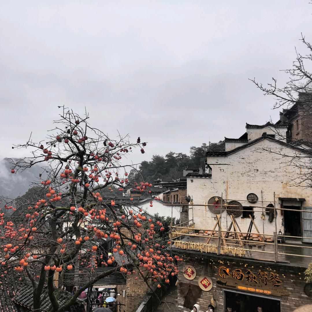 余笙南吟