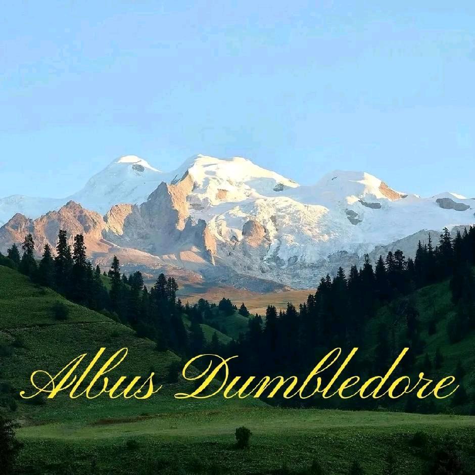 Albus Dumbledore