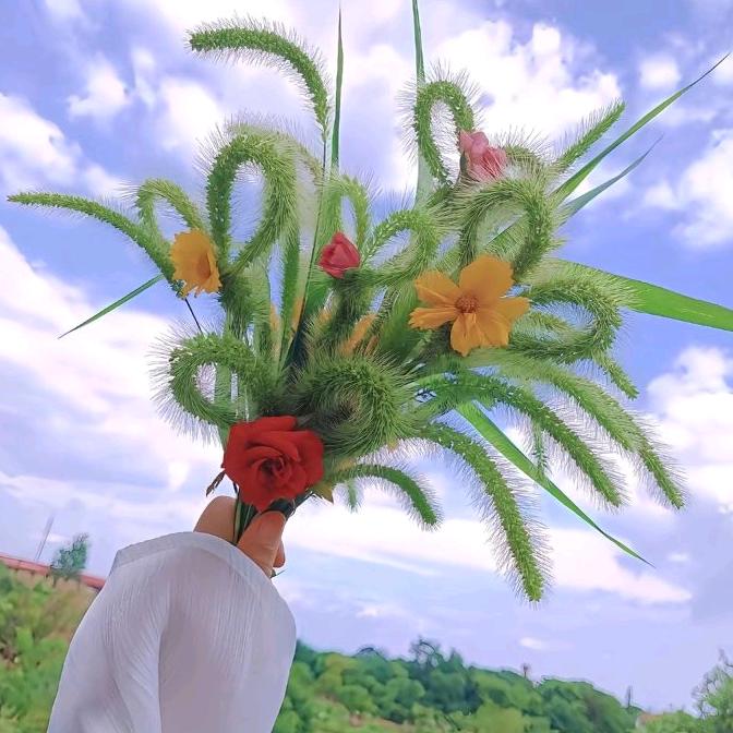 路过你的夏天@