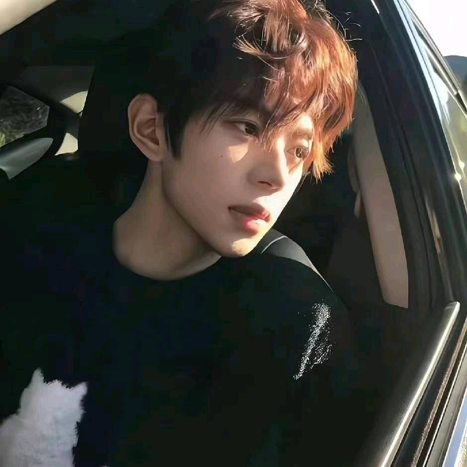 许七安（玮迪）