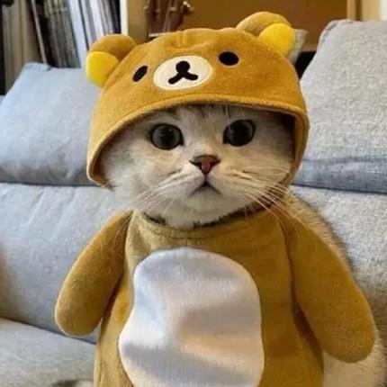 天 涯 赤 子 心 ☞