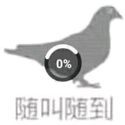 鸽子精🕊