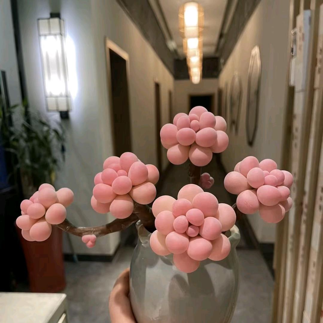 (♡>𖥦<)/♥