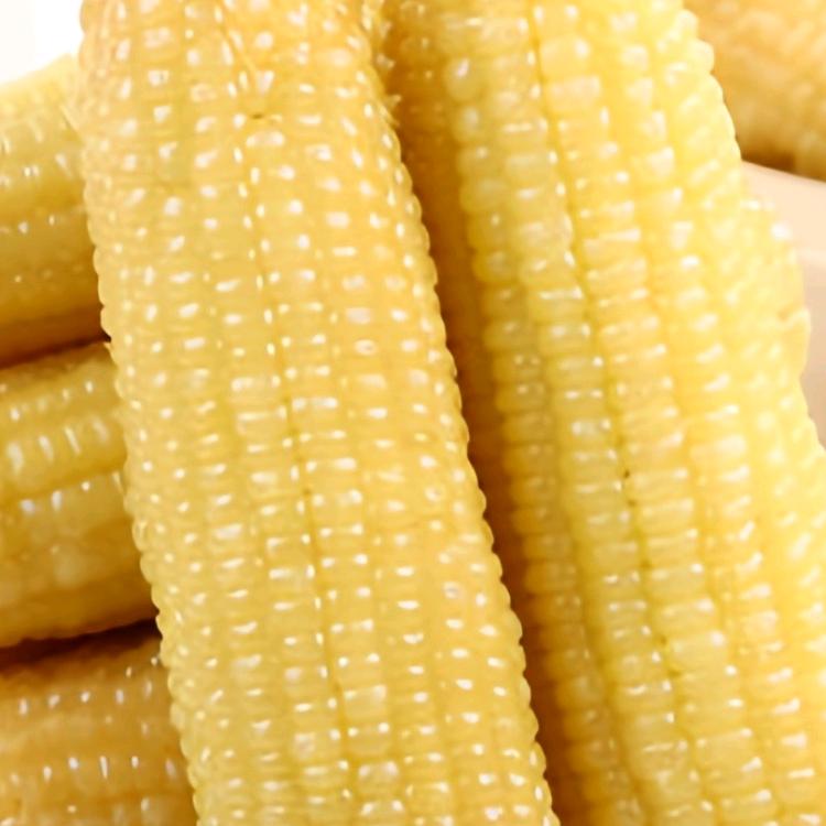 东北老蔡特产店