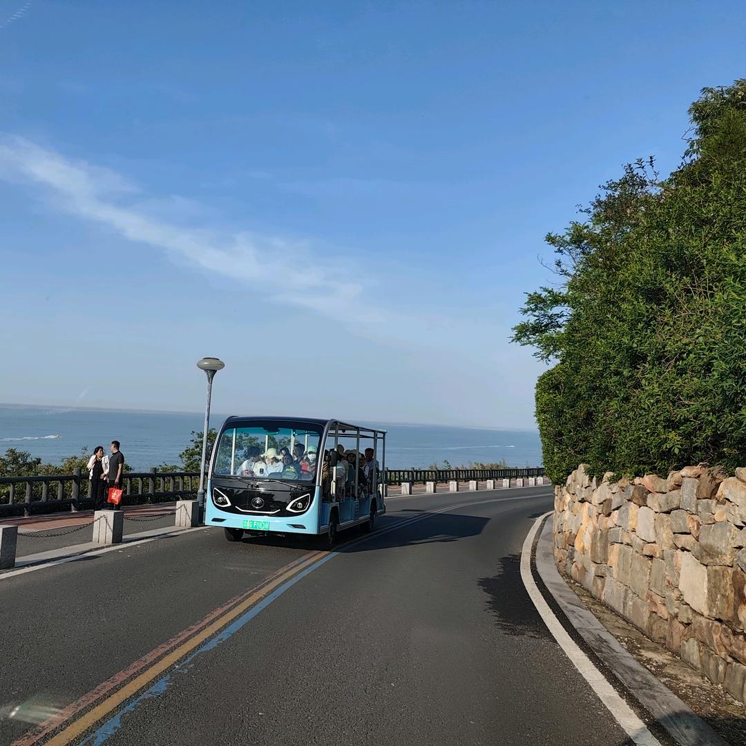 娃娃鱼🚀🚀🚀