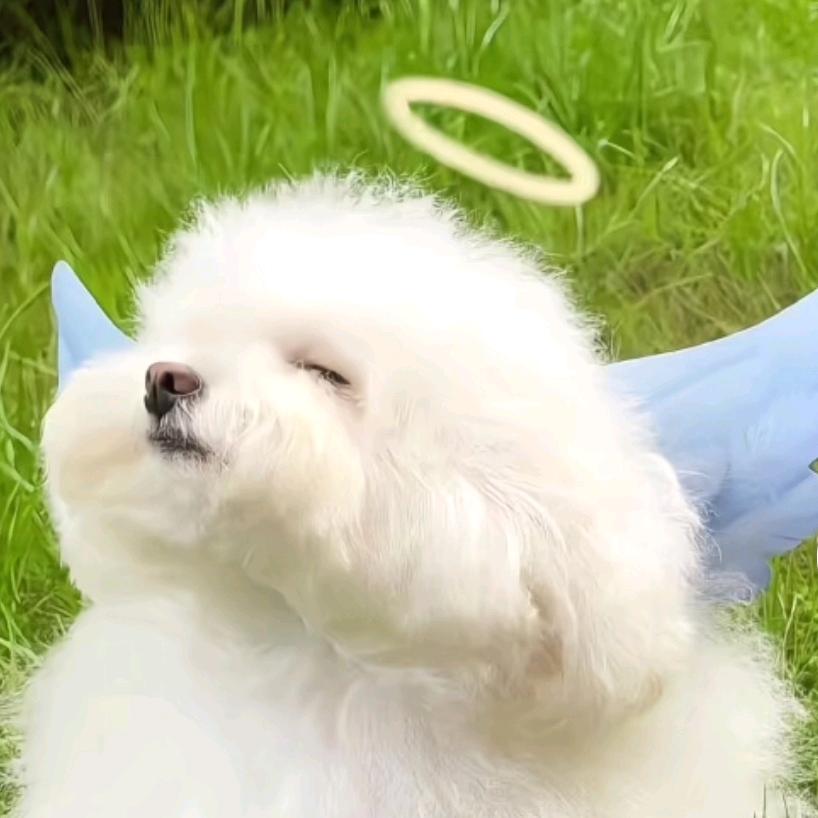 满满🐾