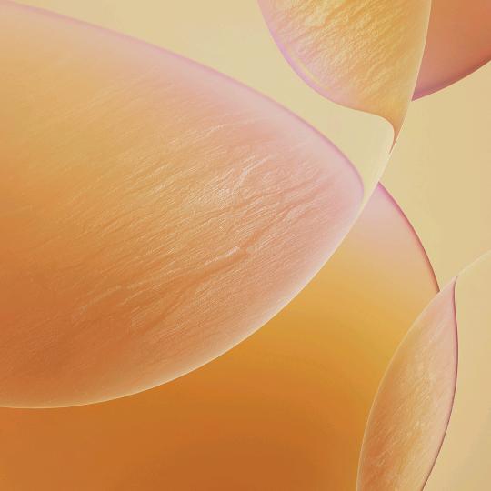 ૧(●´৺`●)૭往事随风૧(●´৺`●