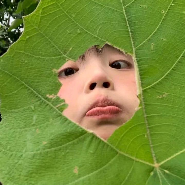香芋巧克力