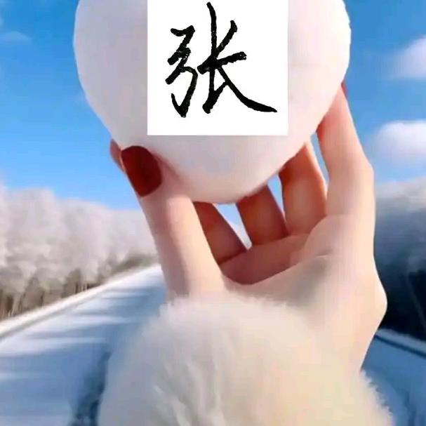 家有二洋洋头像