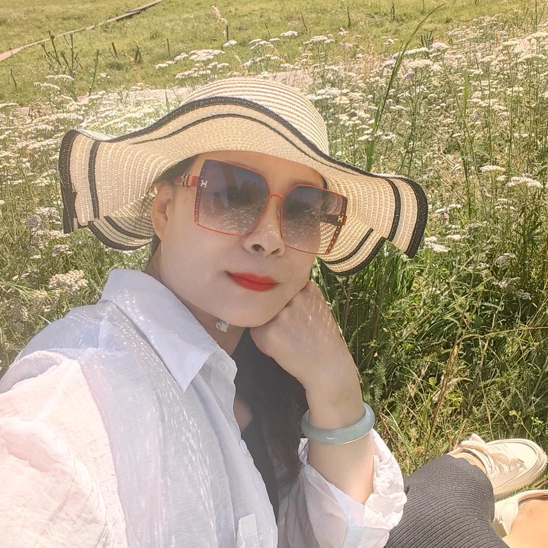 燕子飞翔