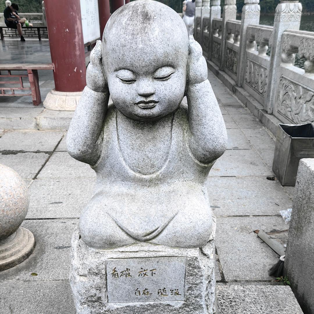 秋鸿