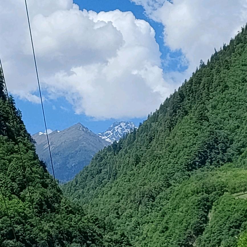秋雨婷