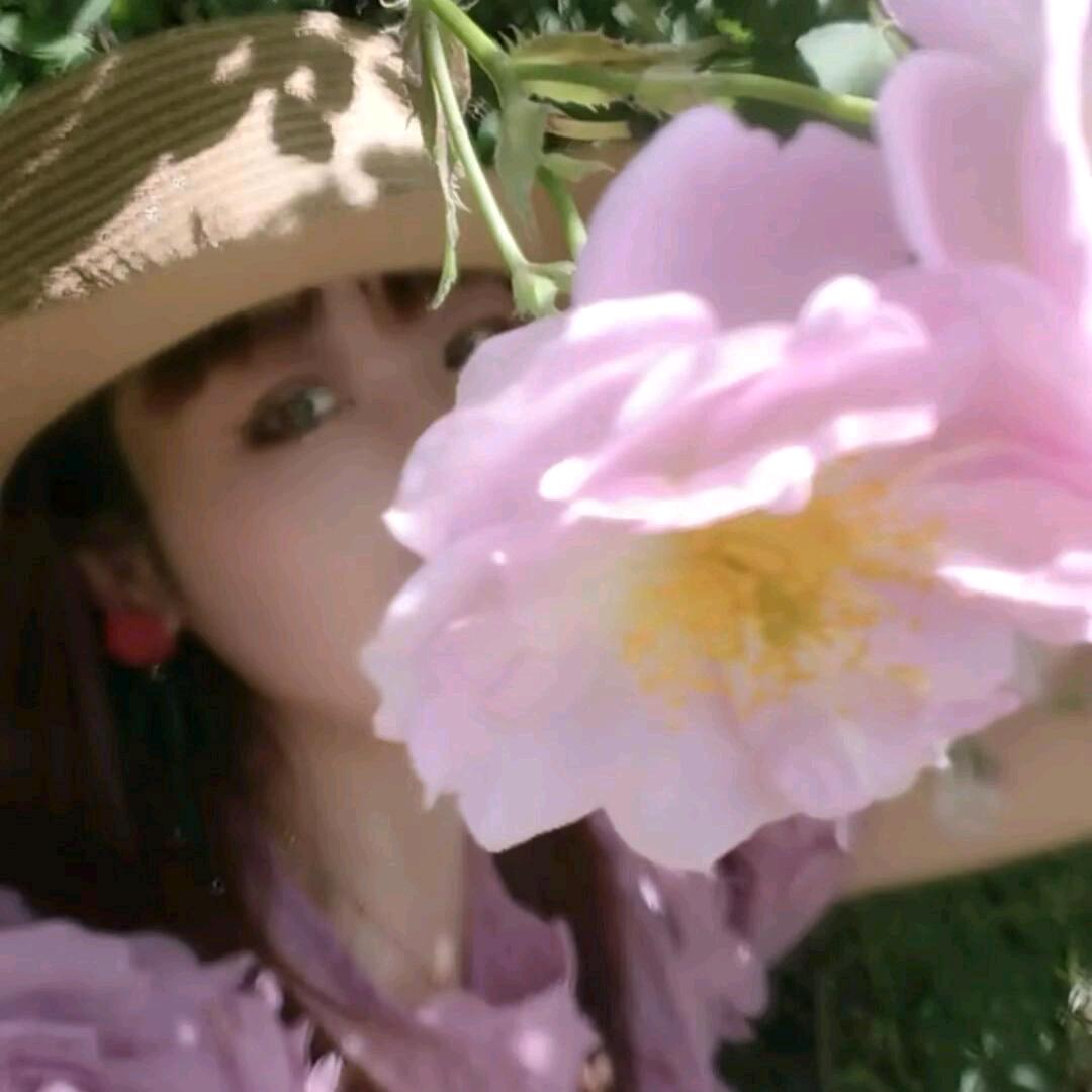 莉梨呀.