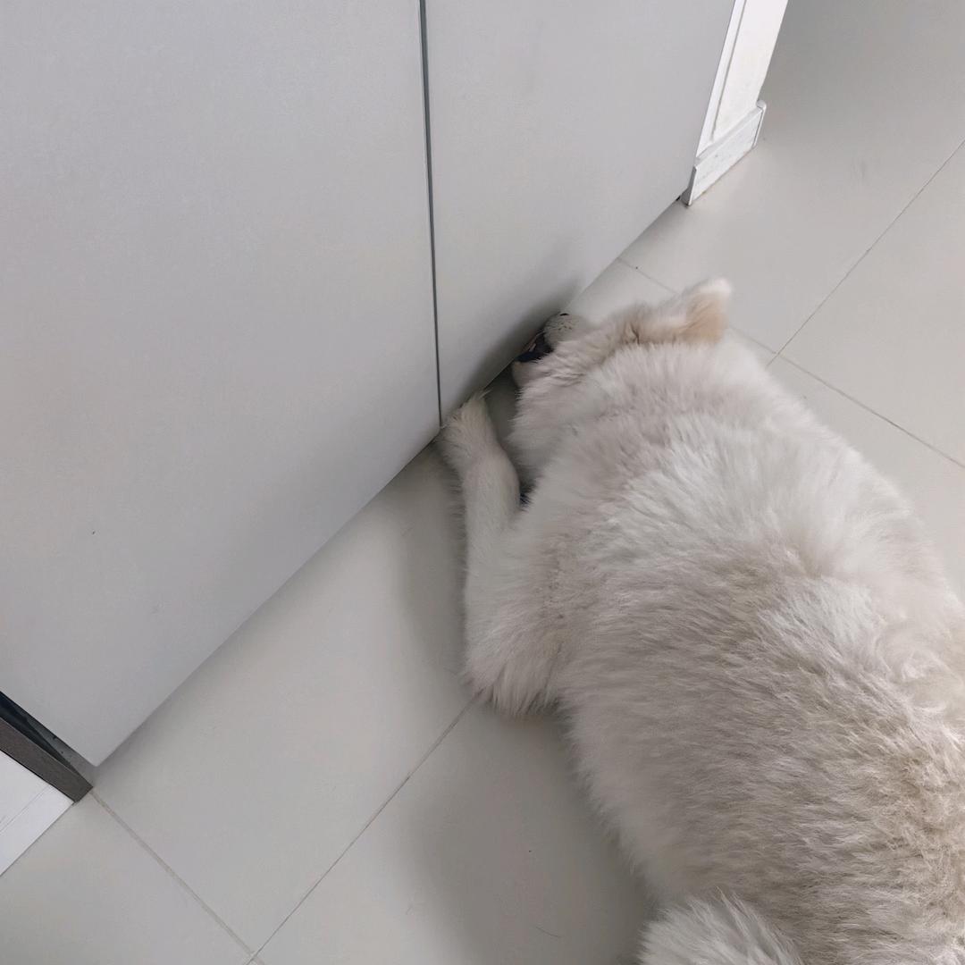 牛马与魔丸三巨头