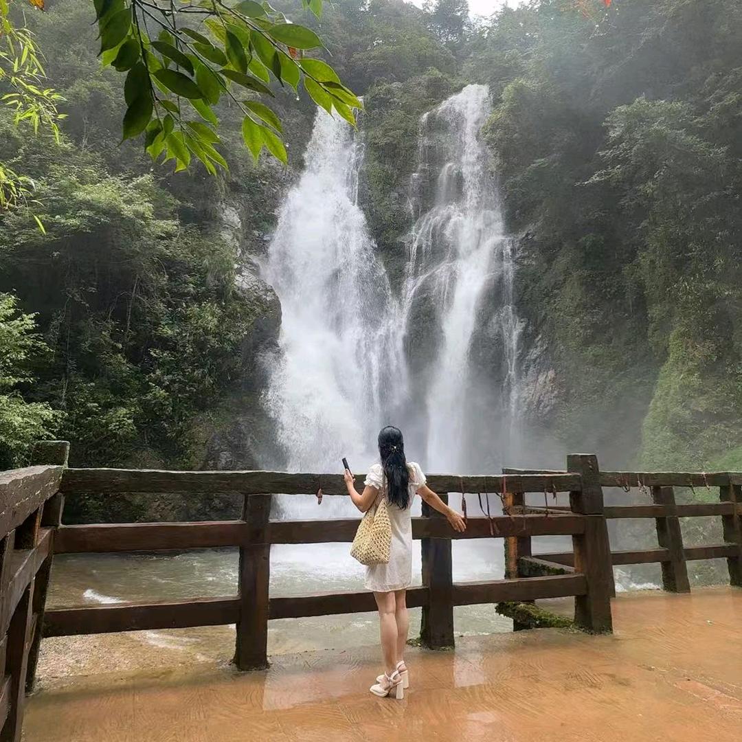 小懒猪，