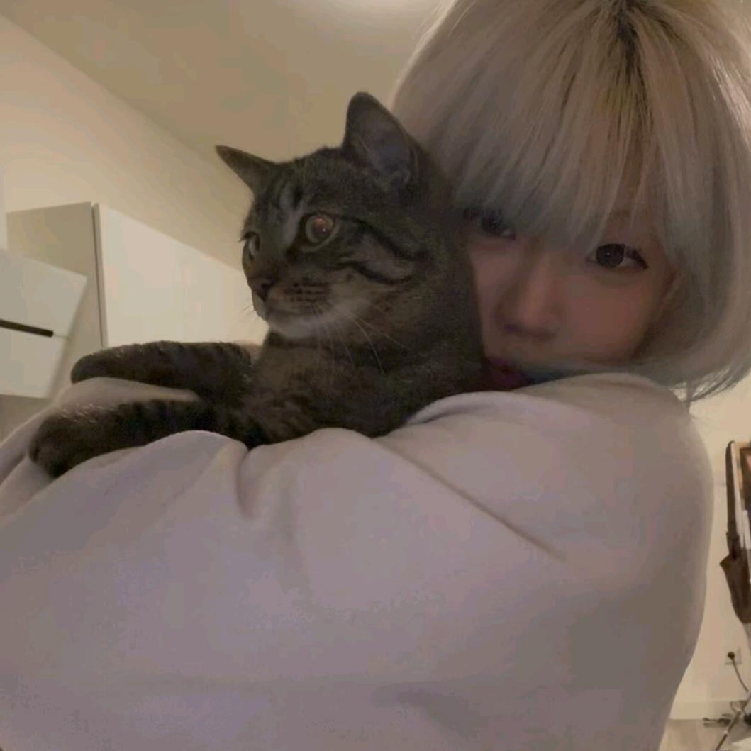 一个很好哄的炸药包