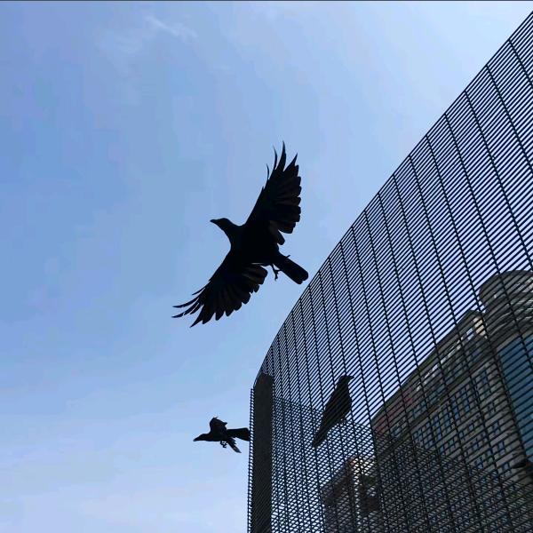 辛集商贸精选好货店