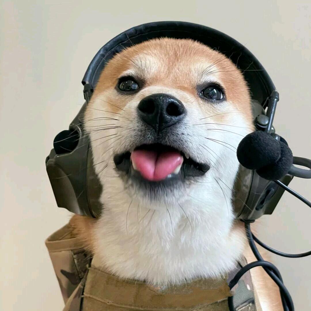 呀呼