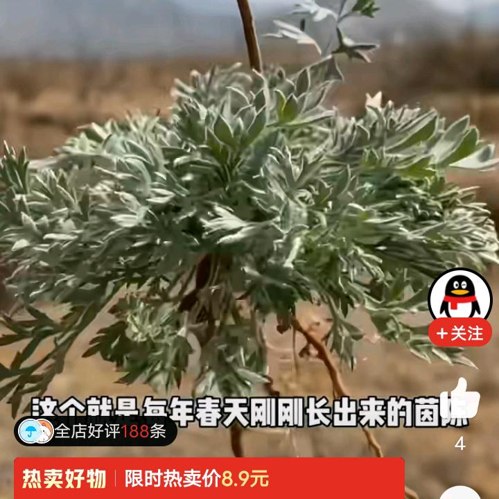 好人一身平安