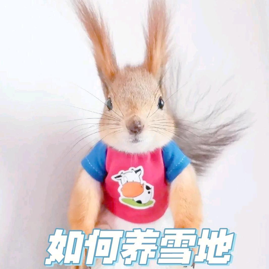 啊涛养殖基地