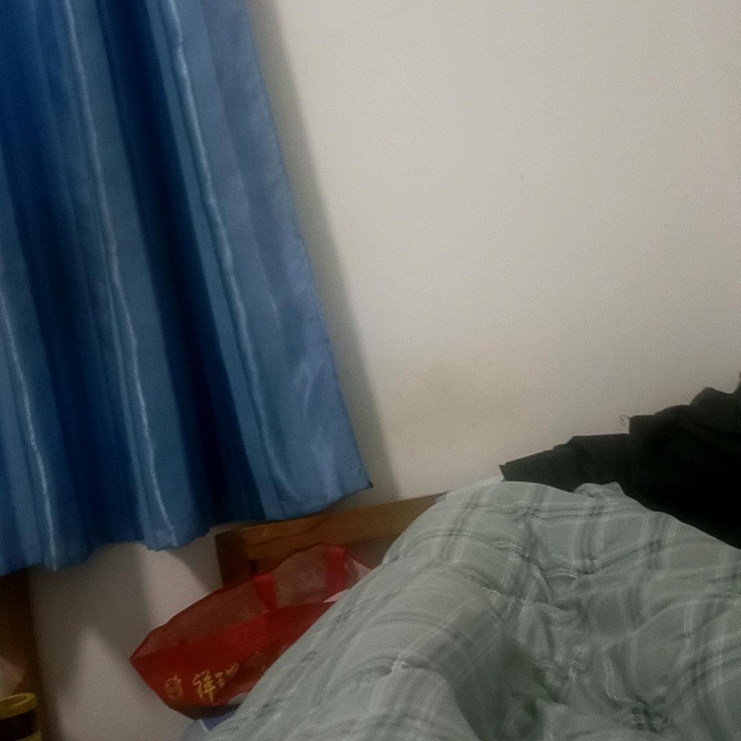 社会观察员
