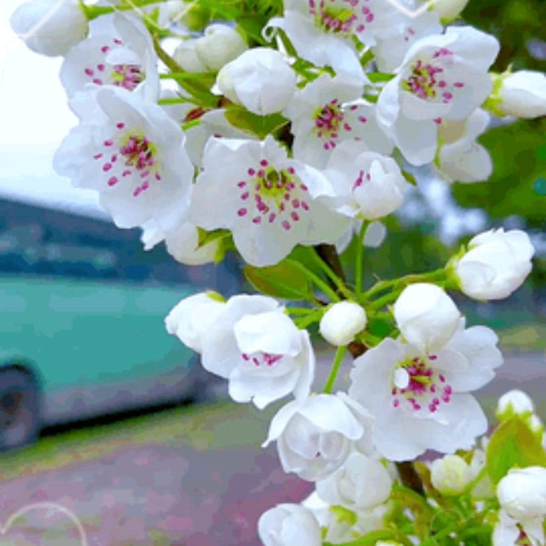 塔城家政钱大姐