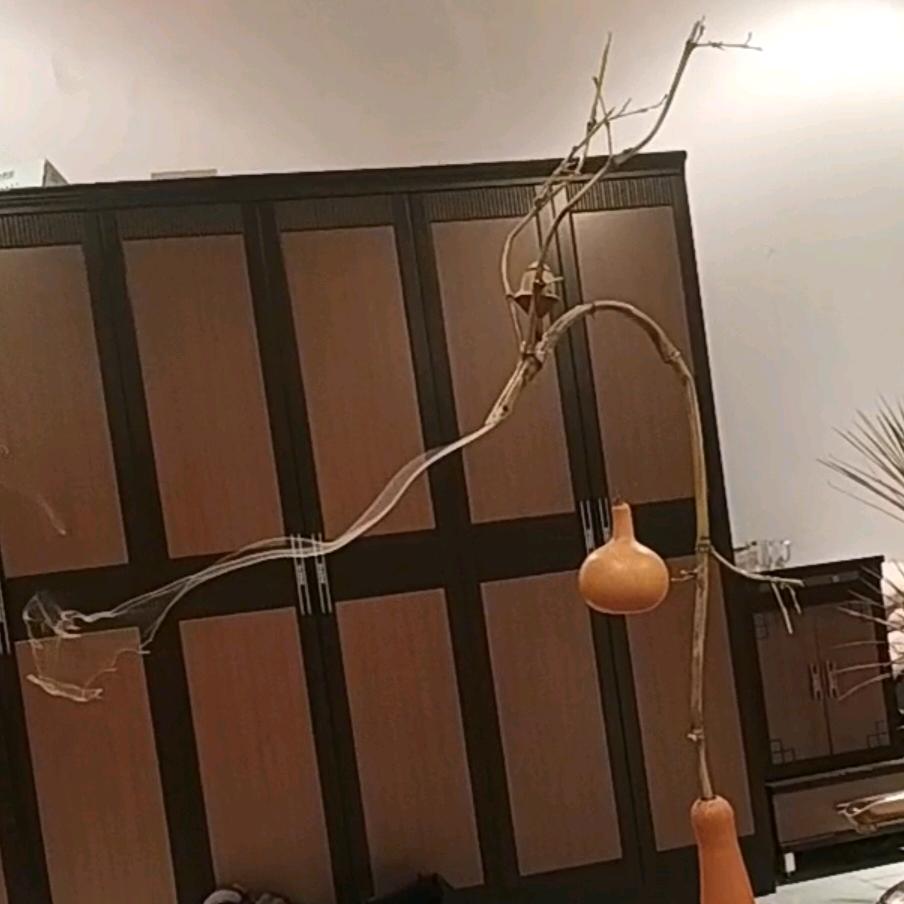 向左向右向钱看