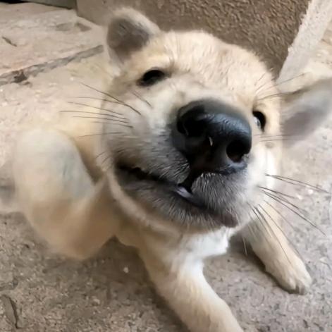 𝑳𝒆𝒙𝒖𝒔.