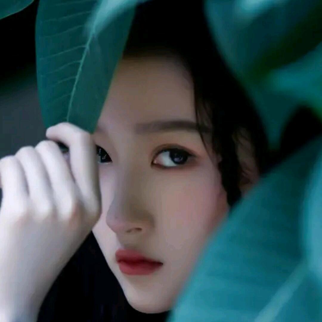 一路长虹