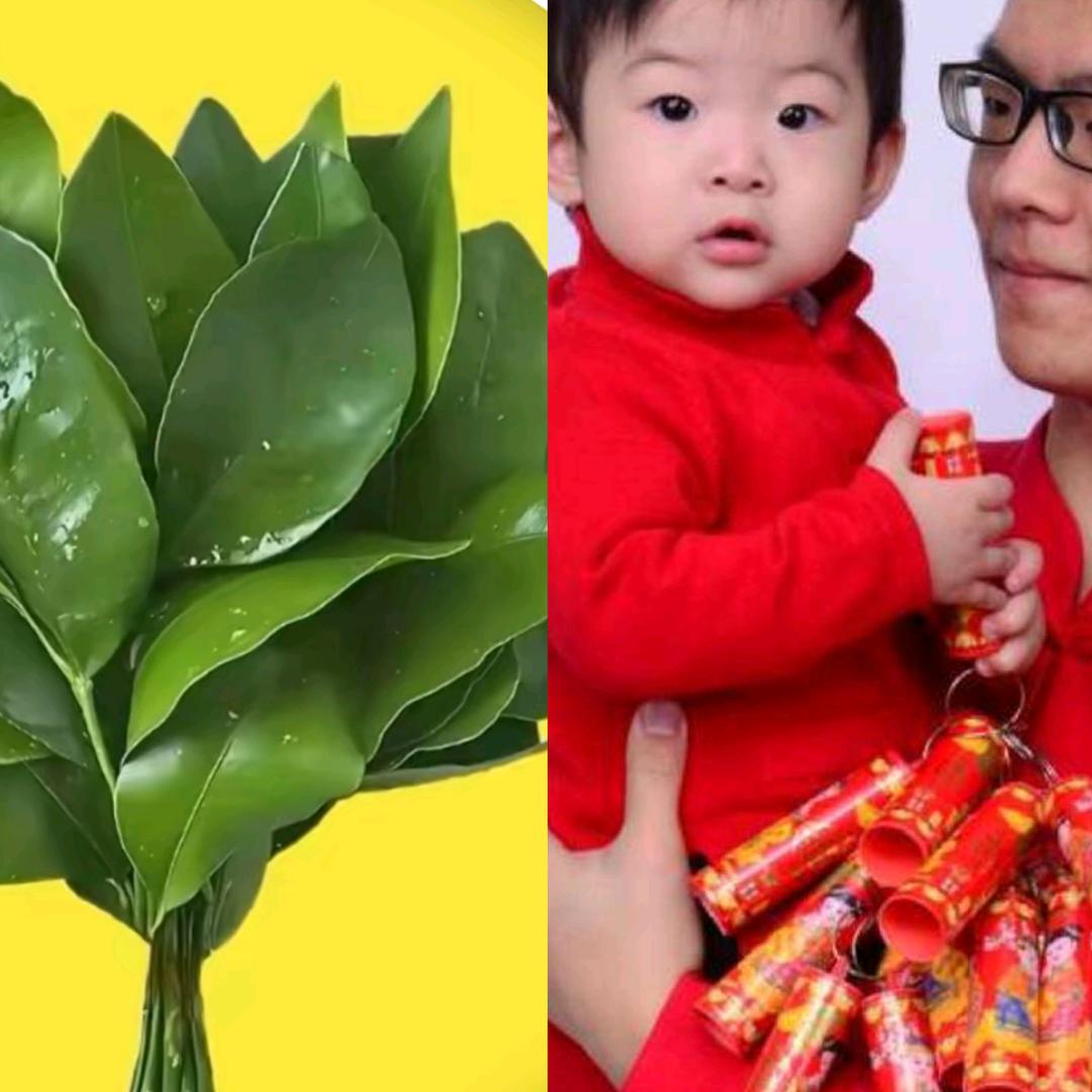 壹月妈(好物推荐)