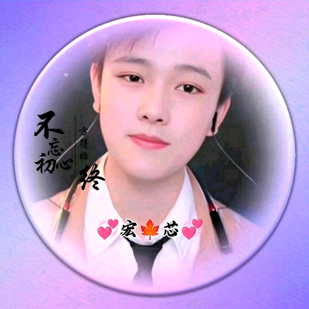 🍁宏芯🕊️🍁