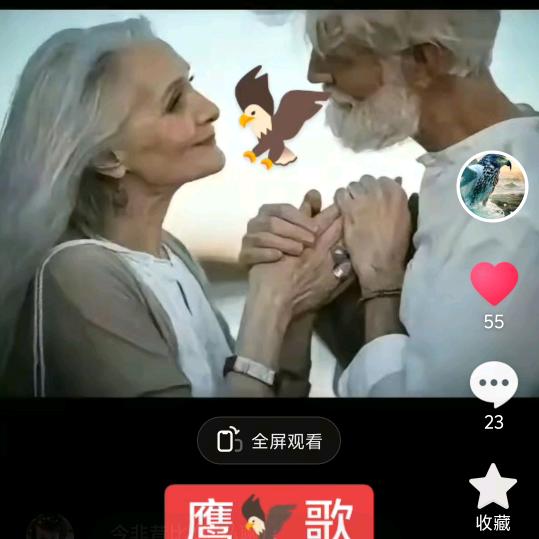 🦅🦅鹰🦅歌🦅🦅