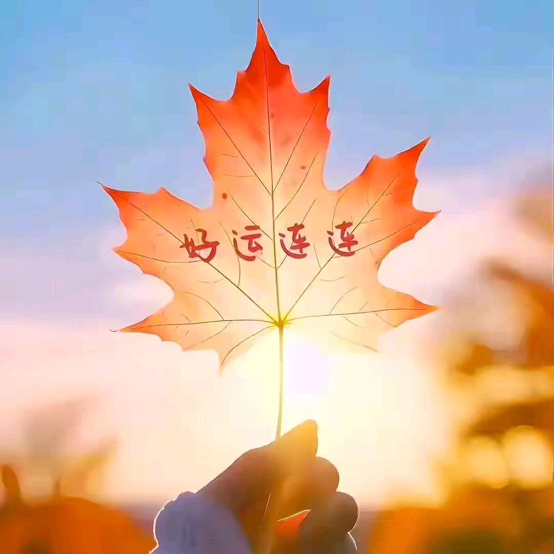 珍惜
