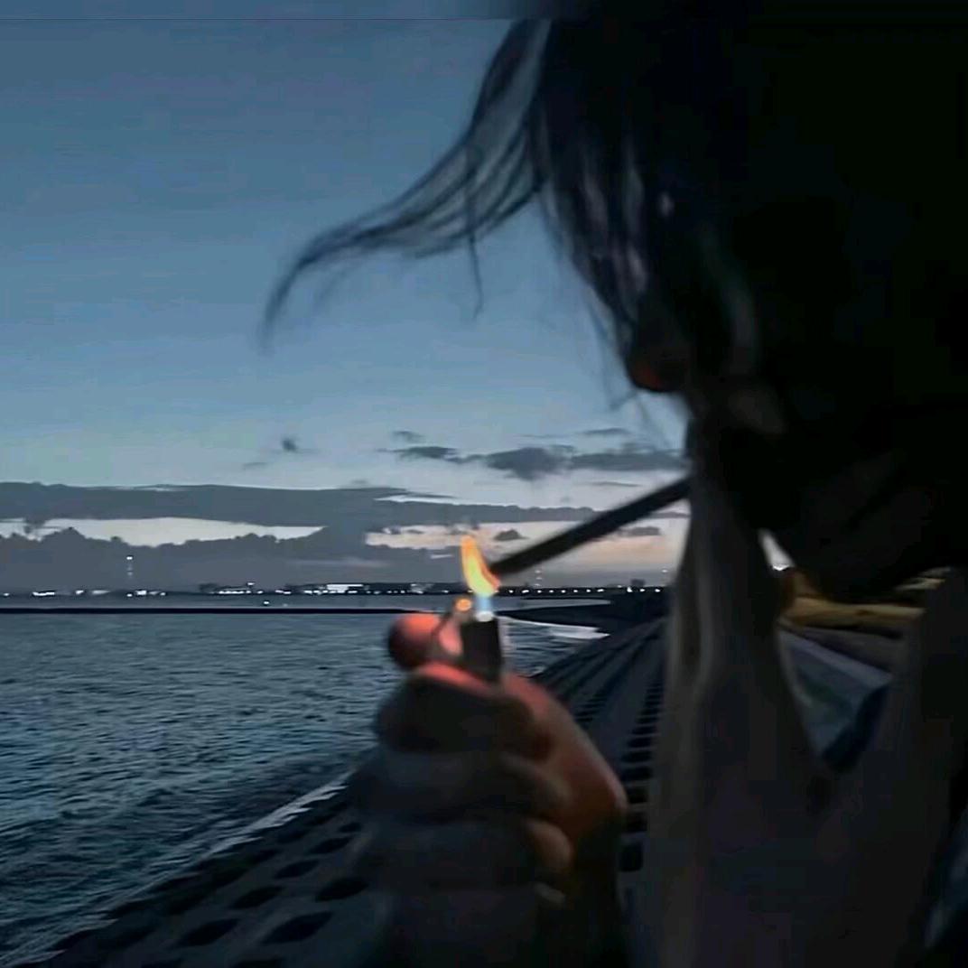 清看不懂爱