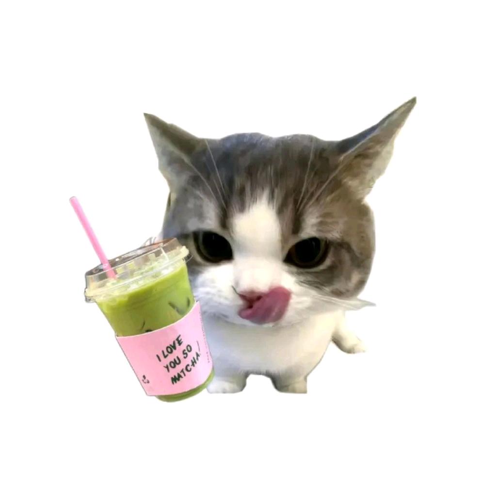 宇宙吹来的风