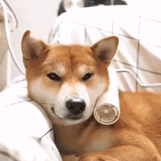 大风啥