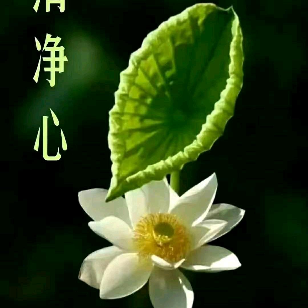 一味分享