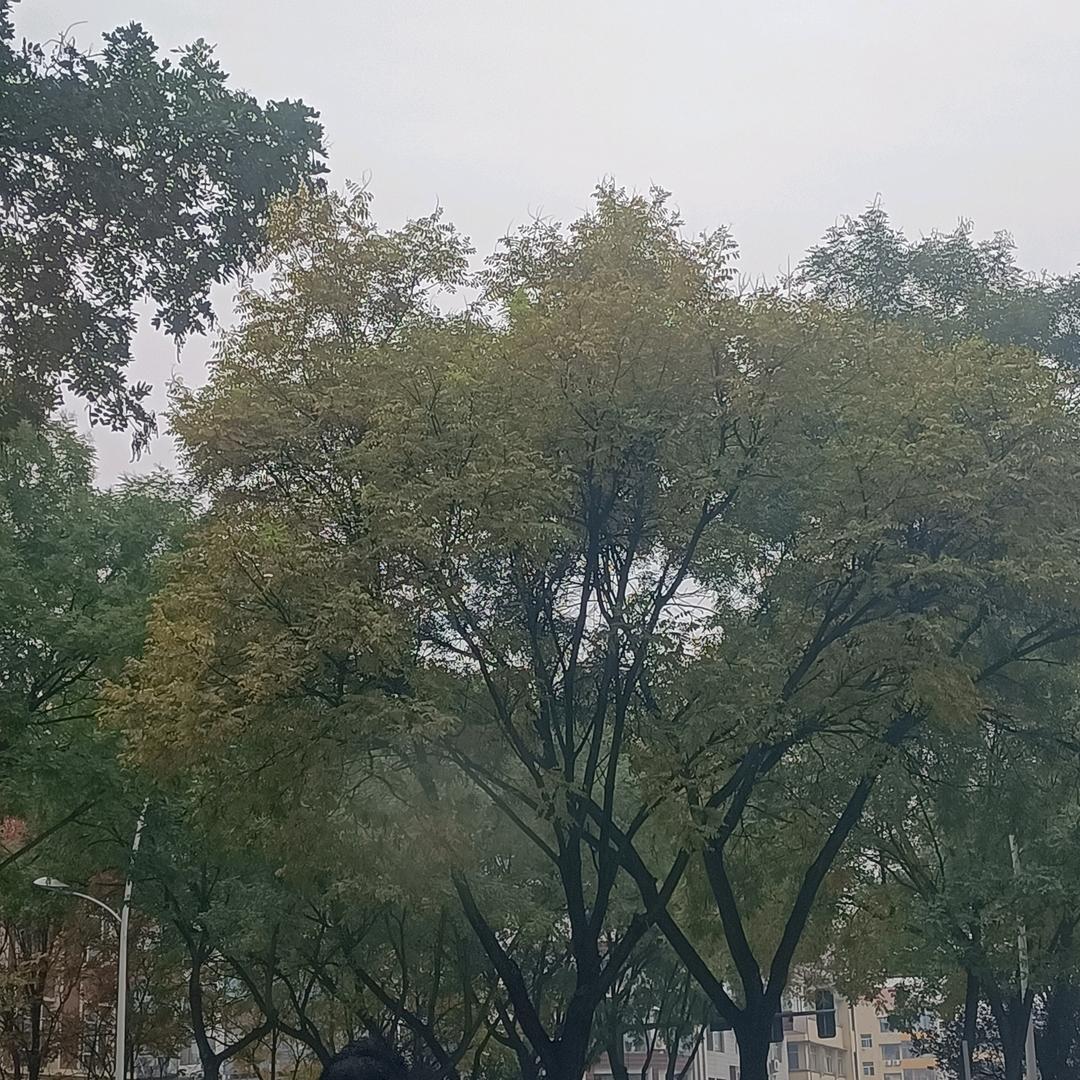 专业销户车，领补贴