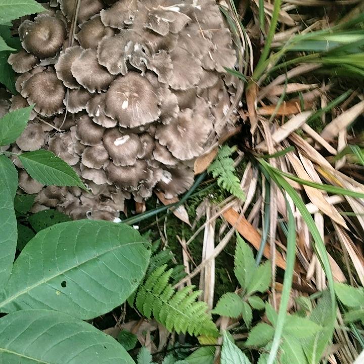 靠谁不如靠自己