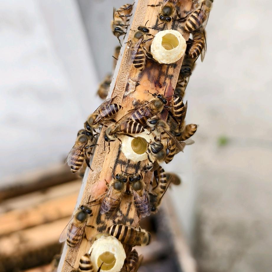闲🐝云