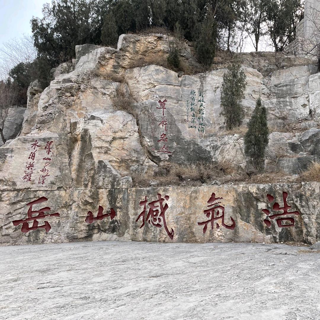 静静精选