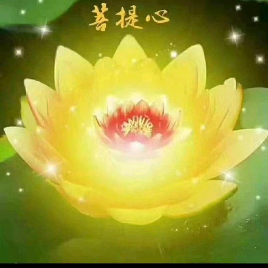 善缘菩心
