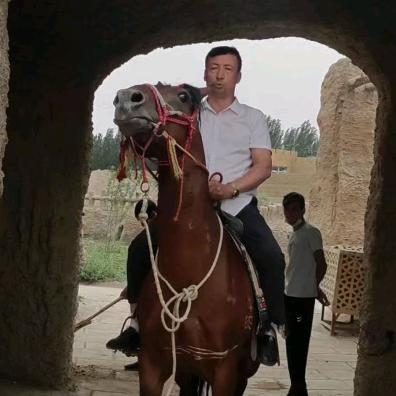 阿师傅好物推荐