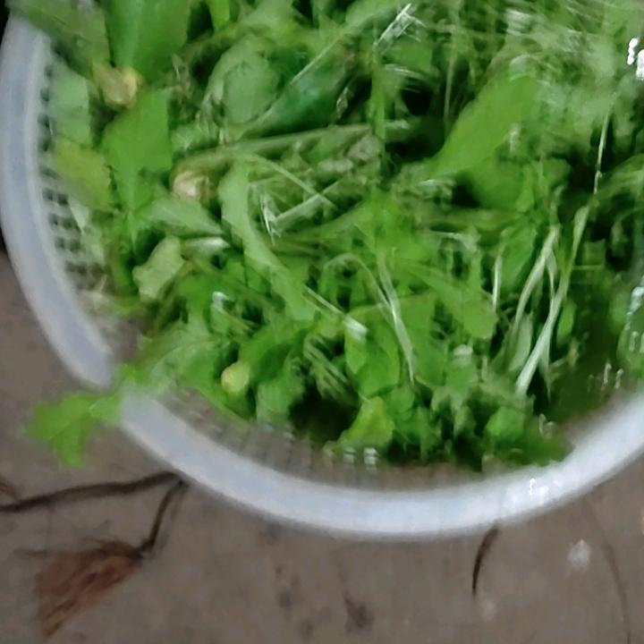 自由飞翔！