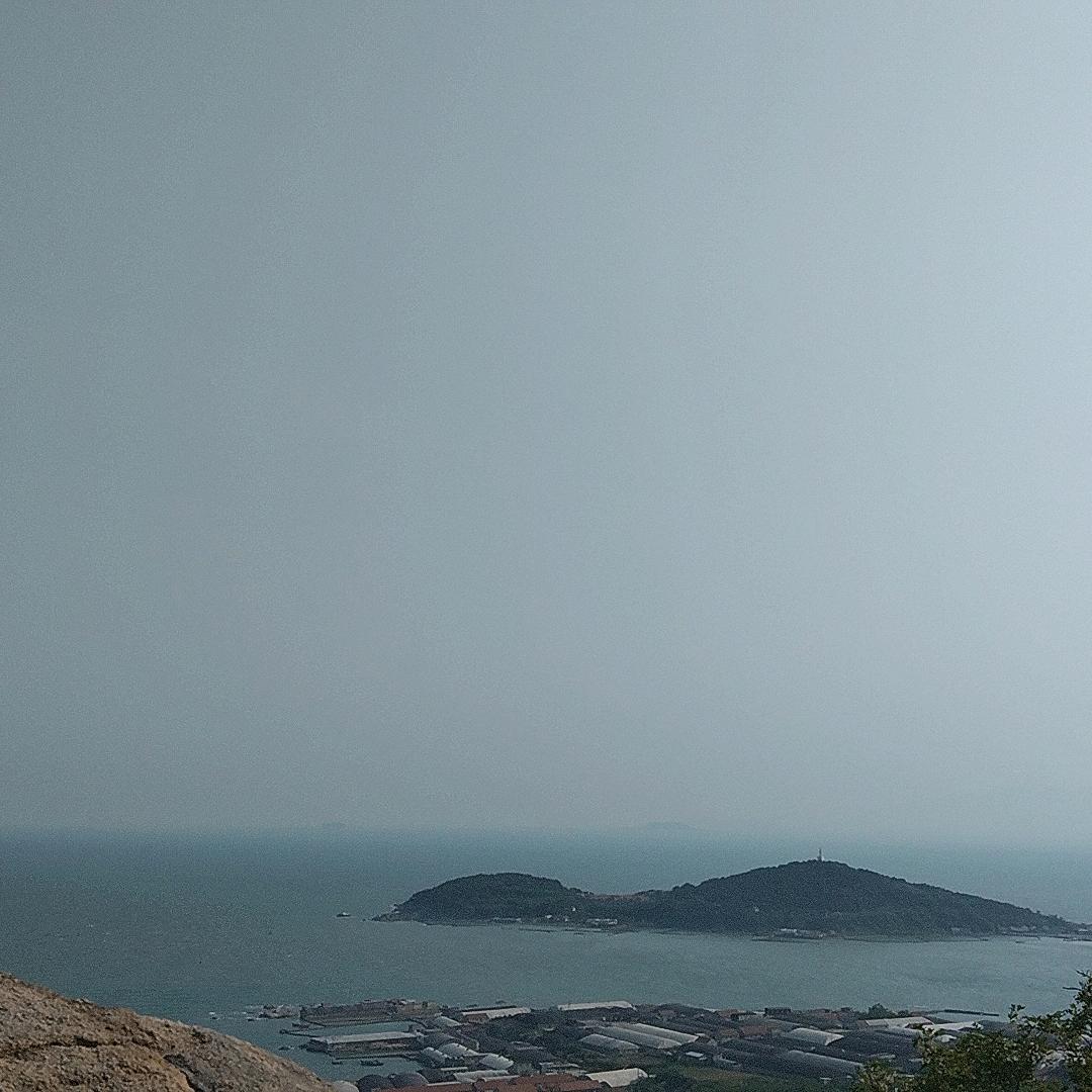 东北大玲姐