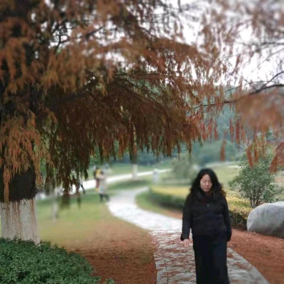 狐颜乱宇