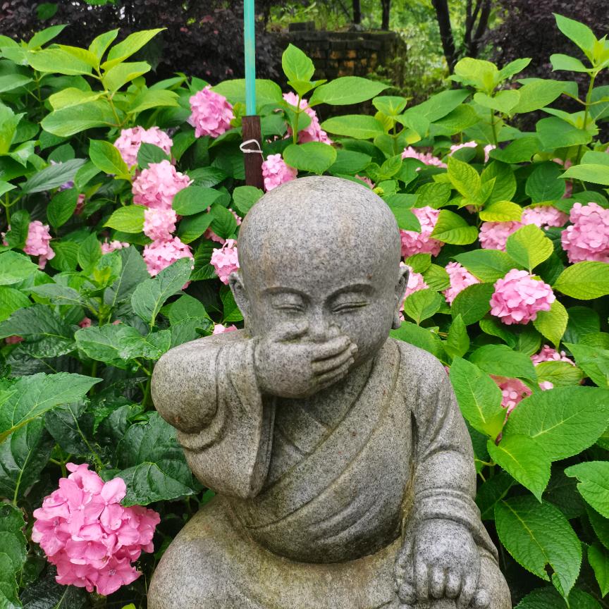 爱笑的🐇子😁🌹🌹